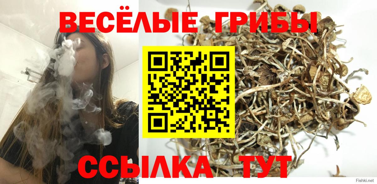 Псилоцибиновые грибы GOLDEN TEACHER  Волжск 