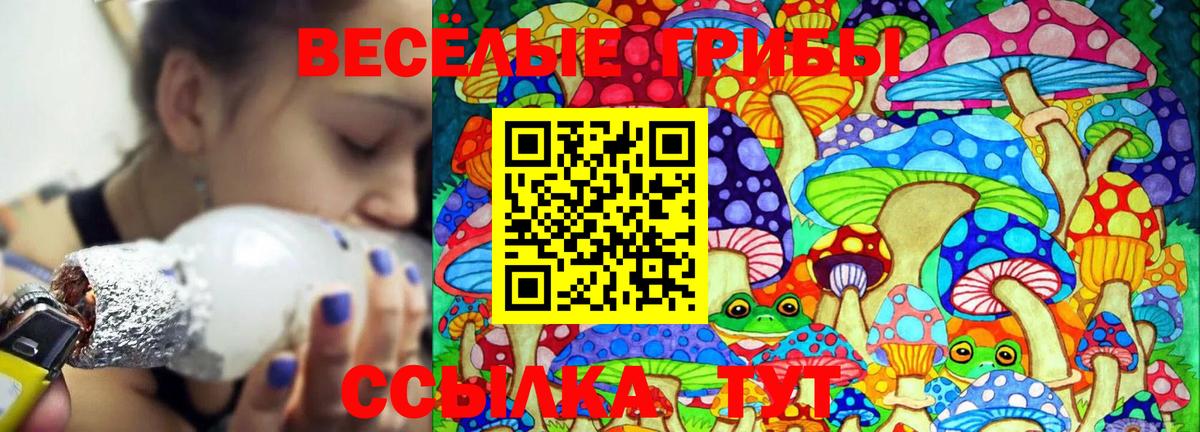 Псилоцибиновые грибы ЛСД  купить   Волжск  Вход с VPN  Псилоцибиновые грибы Psilocybine cubensis 
